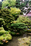 Usa_sf_jp_2.gif (158987 bytes)