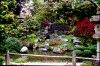 Usa_sf_jp_3.gif (160364 bytes)
