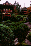 Usa_sf_jp_6.gif (100194 bytes)