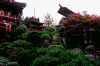 Usa_sf_jp_7.gif (80267 bytes)
